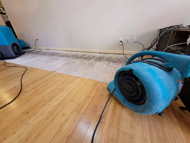 Professional Water Damage Repair technician working in Bridgeville, PA